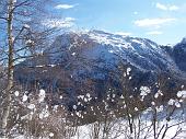 05 Batuffoli di neve